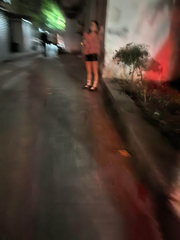 崇贤站街第二弹-买色网