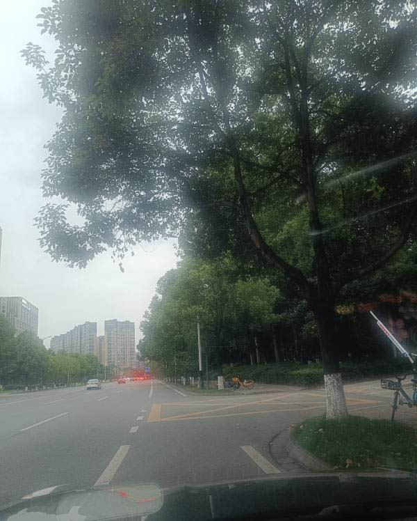 成都温江和平路-买色网