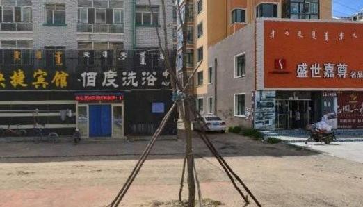 图片2