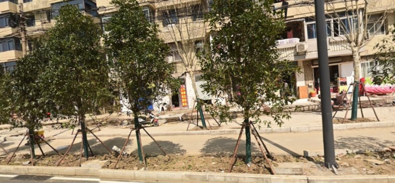 瑶海路边小店-买色网
