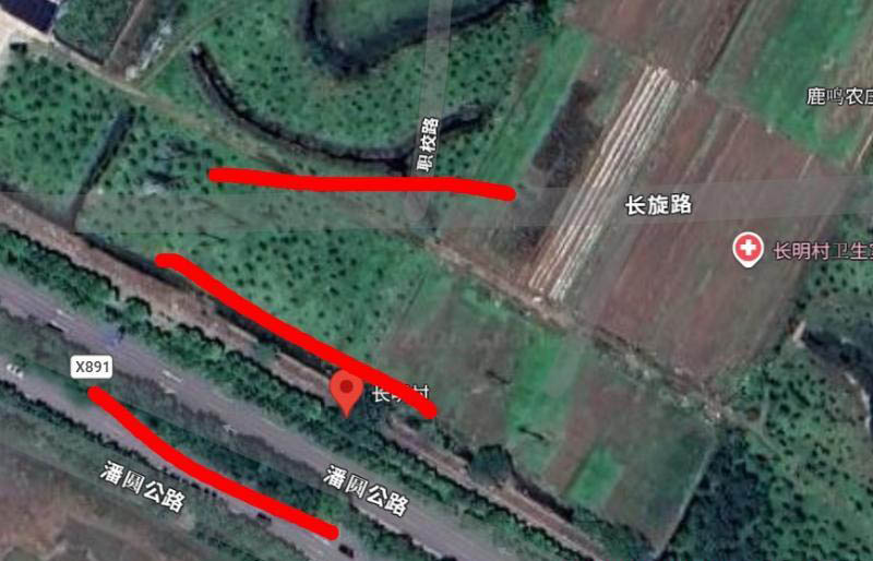 图片3