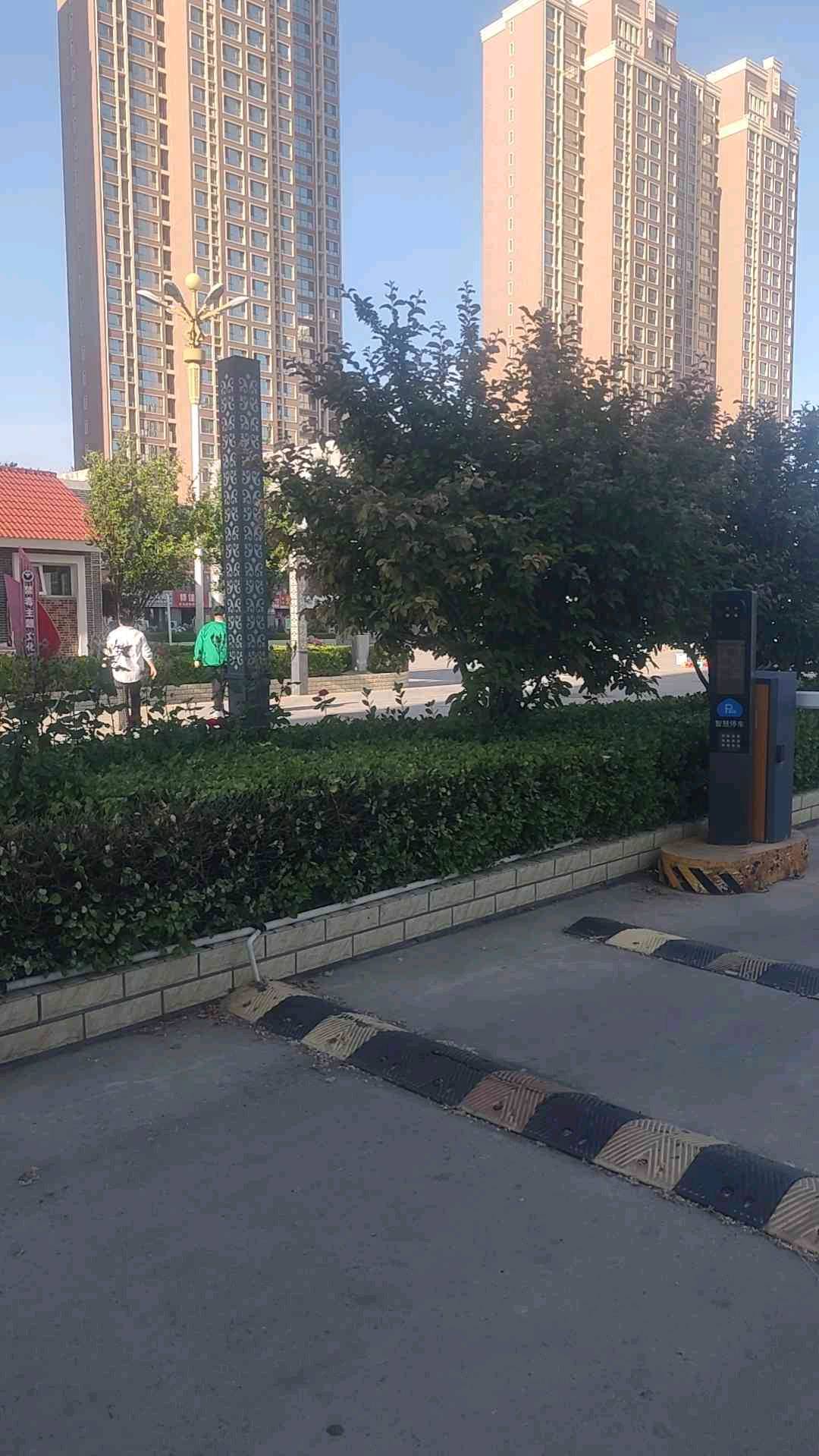 图片5