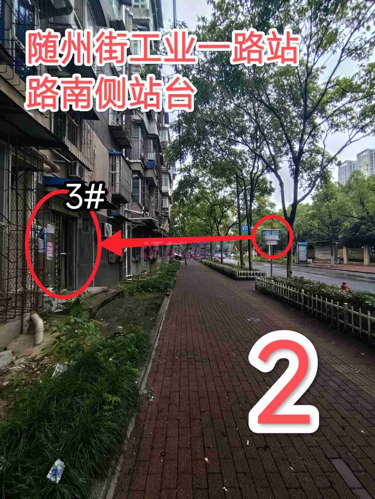 图片3