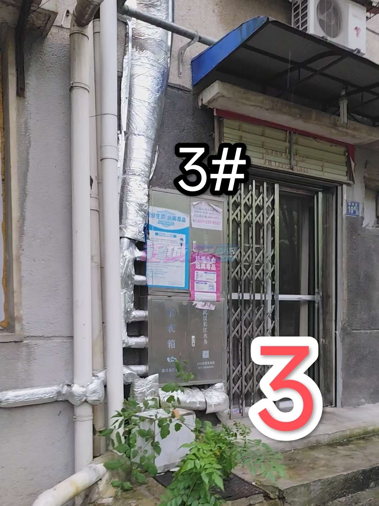图片5