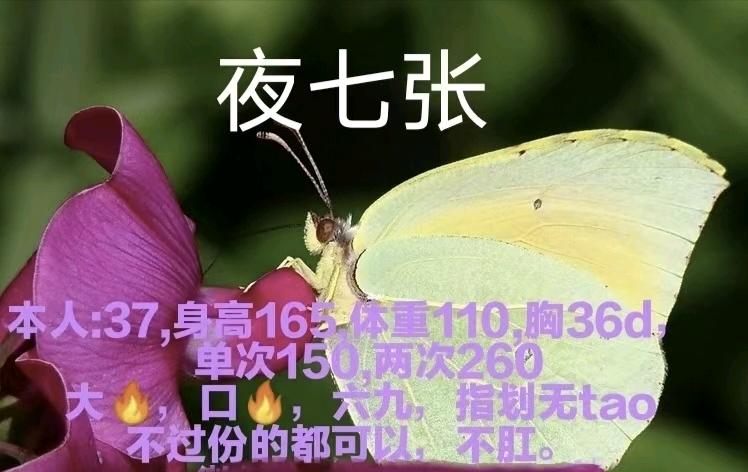 长春泄火大姐配图2