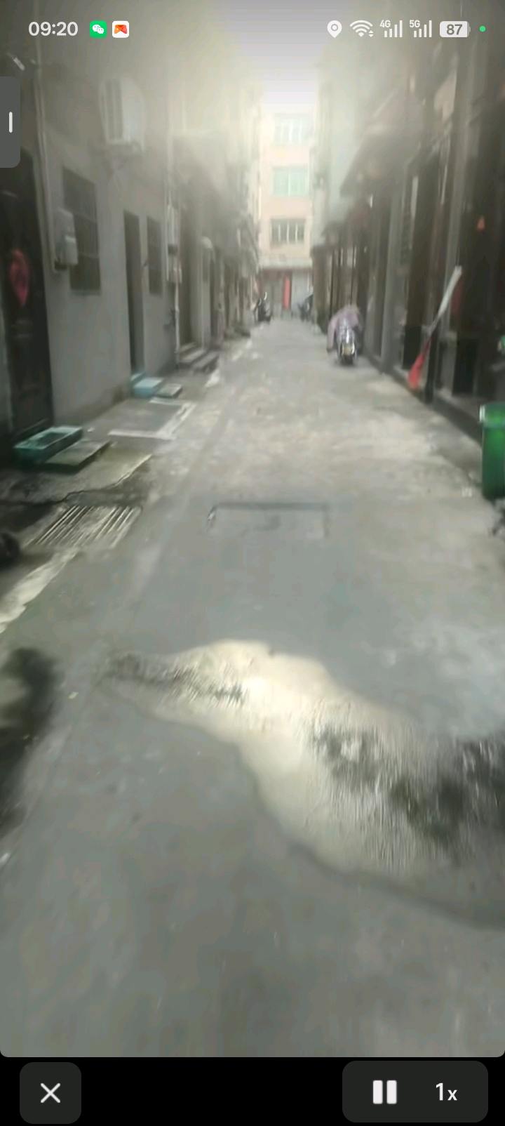 北仑霞浦站街-买春楼