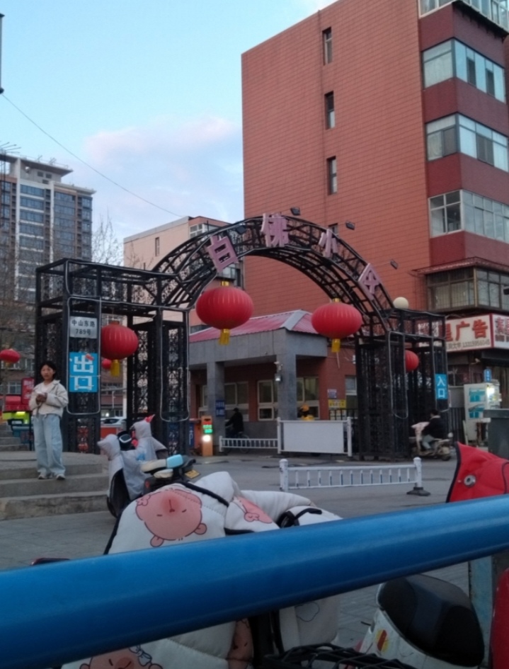 小区门口的引路人-买春楼