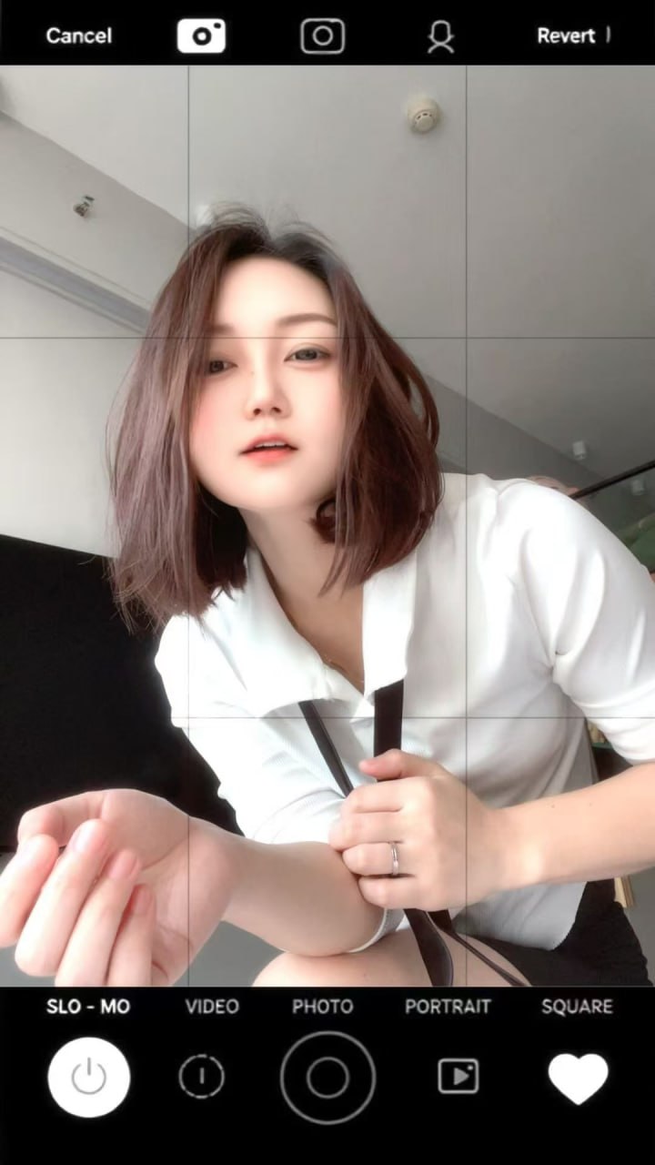 白云金沙洲姐妹花抓龙筋-品茶社