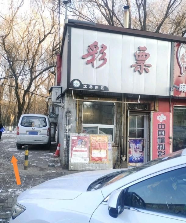 沈北公园配图1
