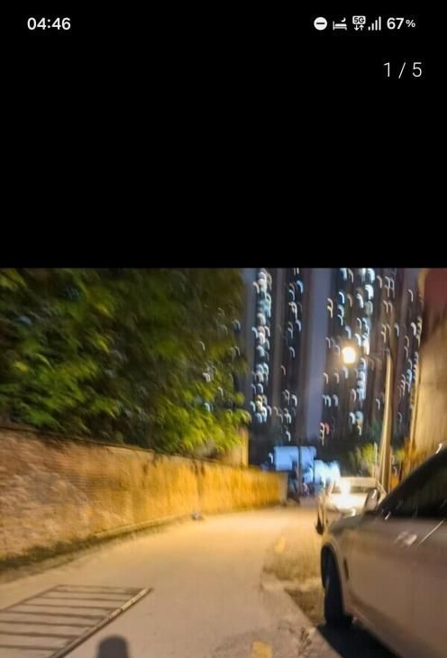 茅岗市场-品茶社