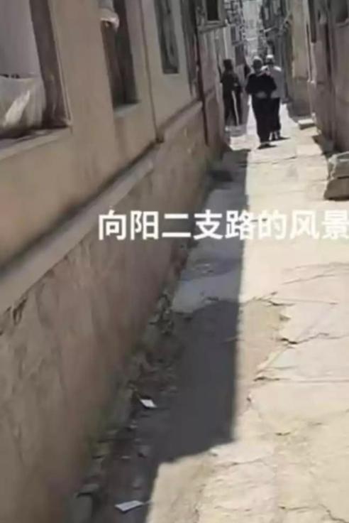 青岛巷子-买色网