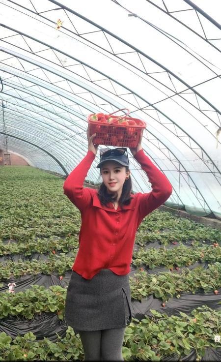 高颜值雅雅-品茶社