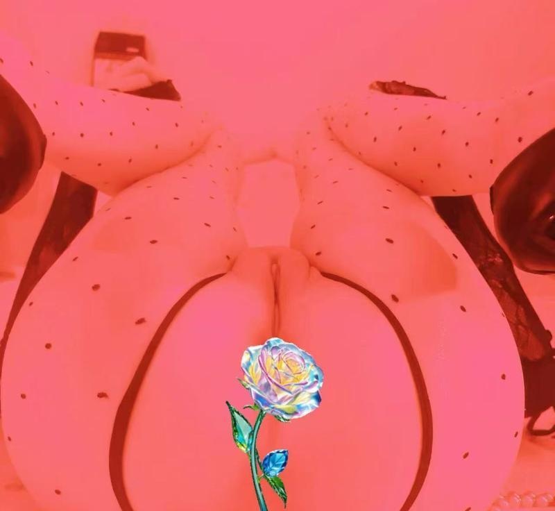 图片3