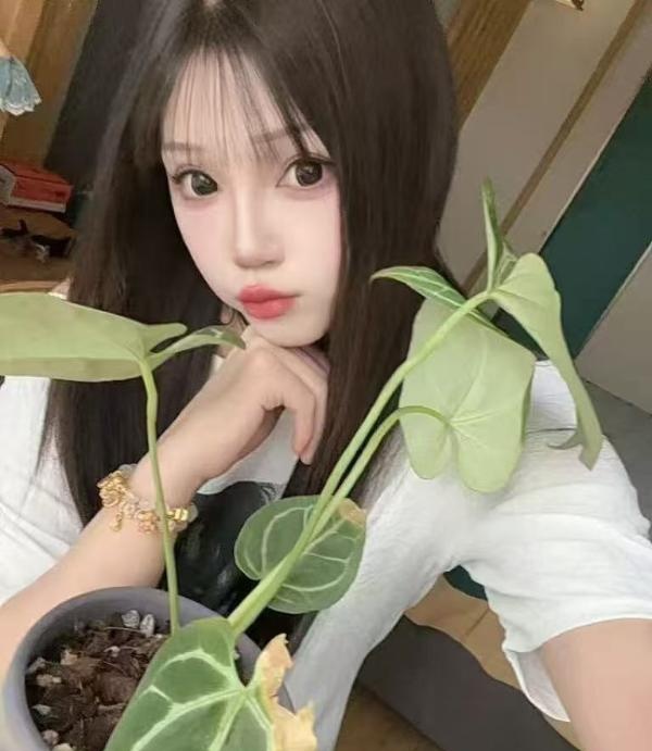 图片2