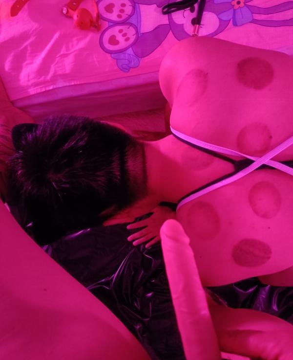 图片4